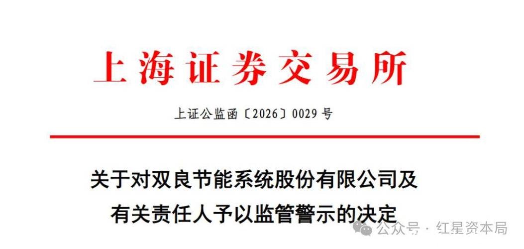 双良节能：上交所“打假”股价应声跌停，高负债与续亏压力并存